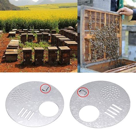 stainless steel beehive box entrance entry disc|Stainless steel Beehive Entrance Discs .